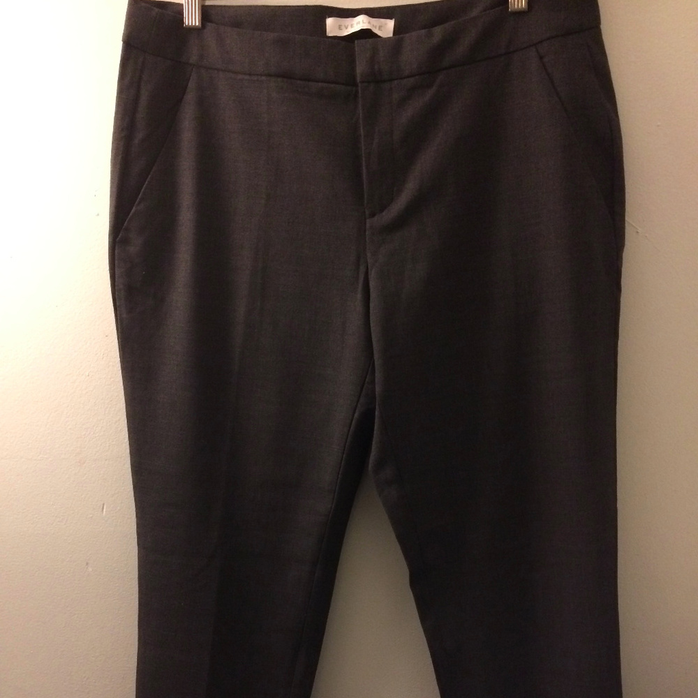 Everlane "The Slim Trouser" Charcoal Wool Pants